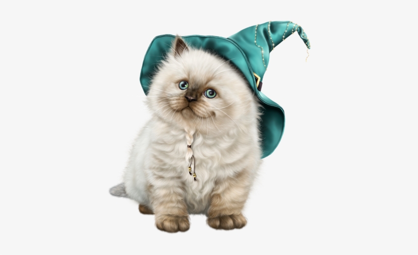 Himalayan, transparent png