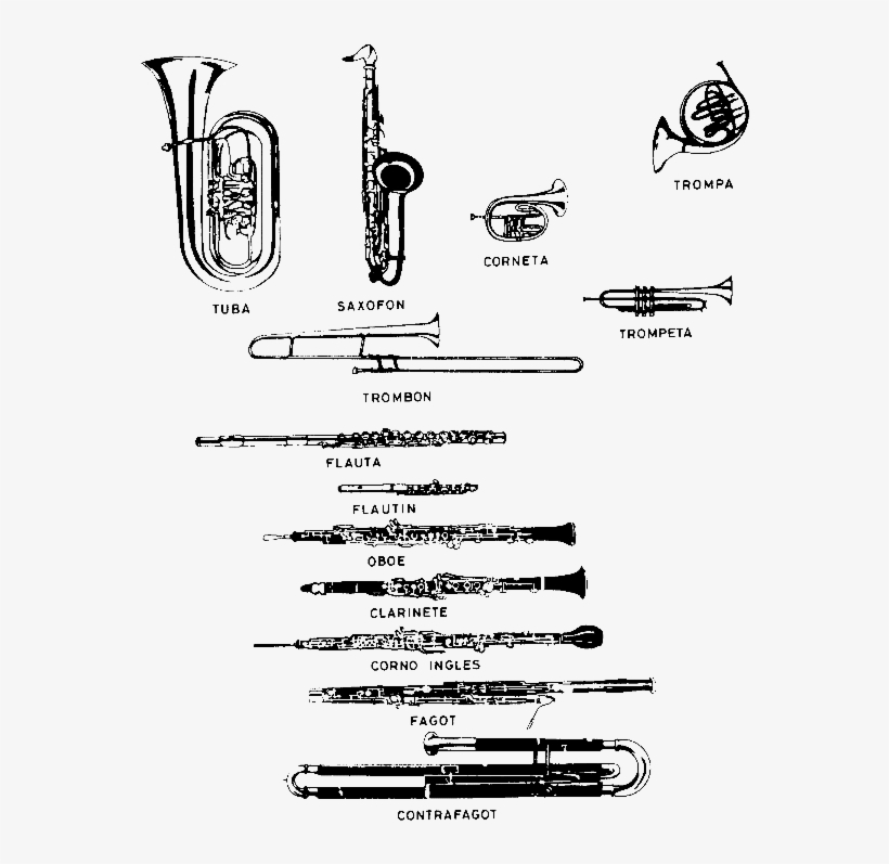 Image006 - Brass Instrument, transparent png