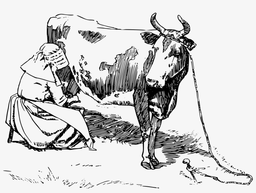 This Free Icons Png Design Of Milking The Cow, transparent png