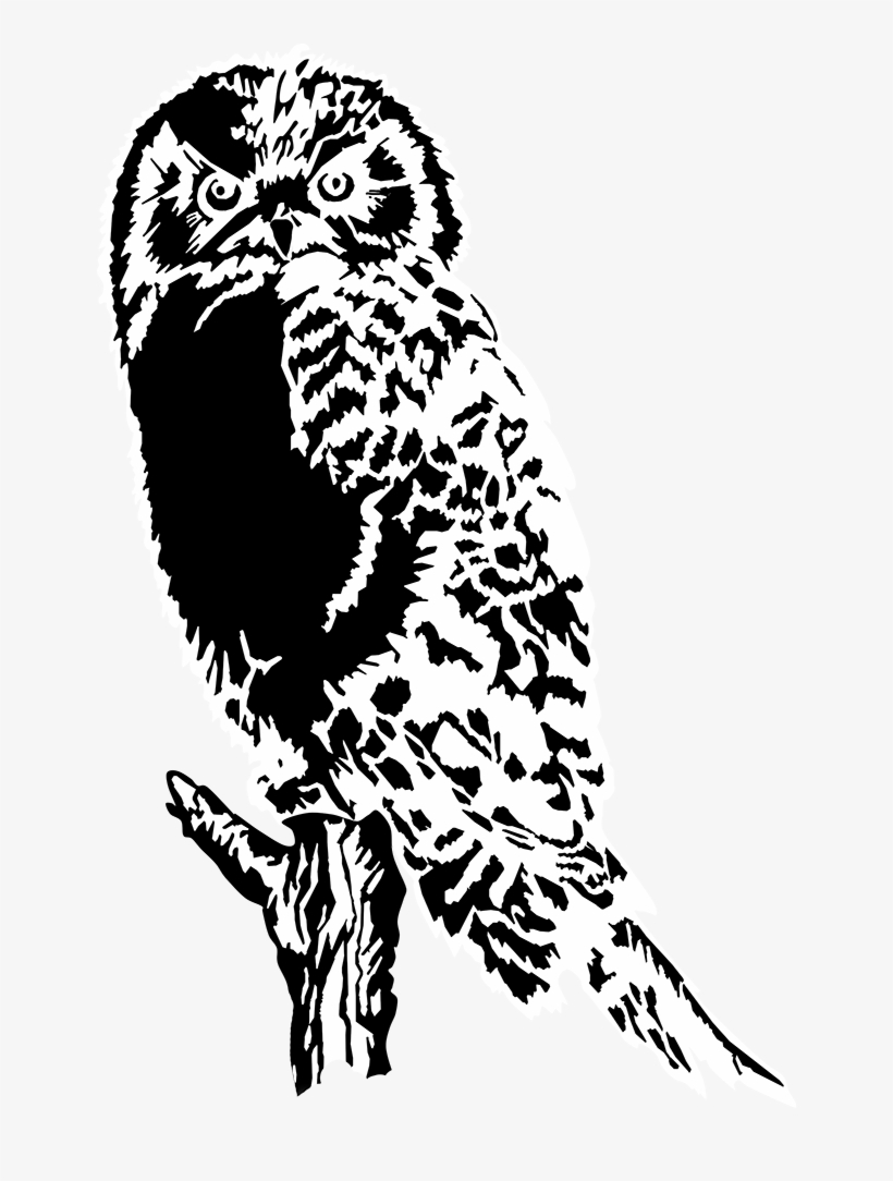Drawing Of Owl Black White Png, Great Horned Owl - Owl Silhouette, transparent png