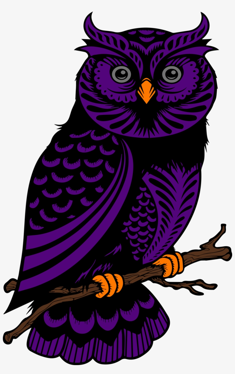 Owl Vector - Owl Vector Hd Images Png, transparent png