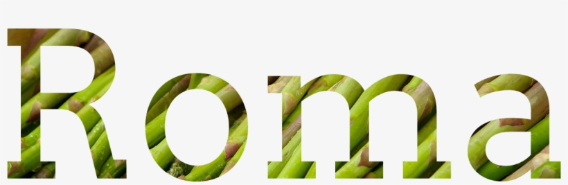Sella - Zazie, transparent png
