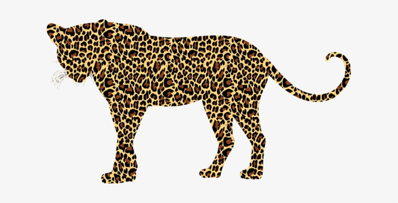 Snow Leopard Felidae Cheetah Tiger - Leopard Clipart, transparent png