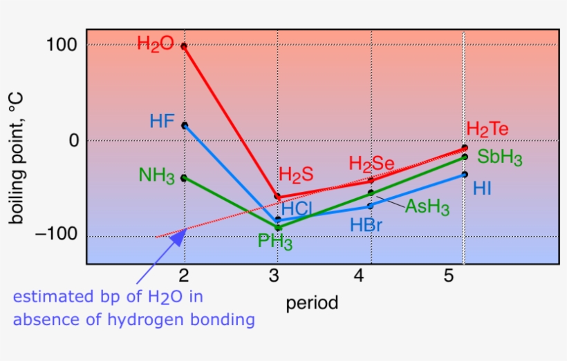 H-bonding Bps - Diagram, transparent png