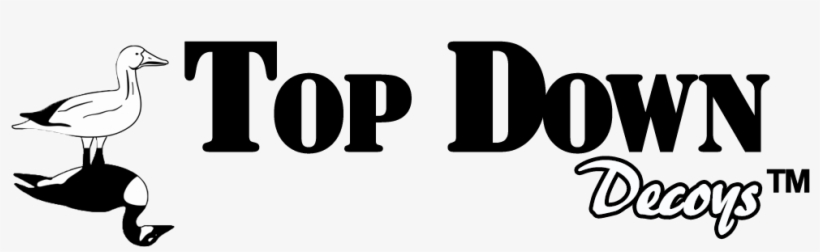 Top Down Decoys - Birthday, transparent png