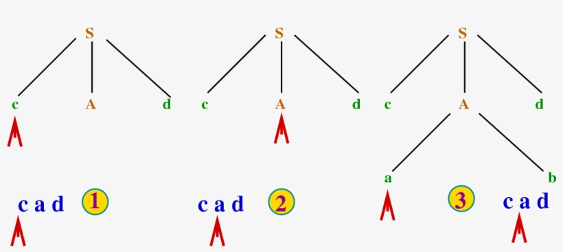 \begin{figure}\htmlimage - - Example Of Top Down Parsing, transparent png