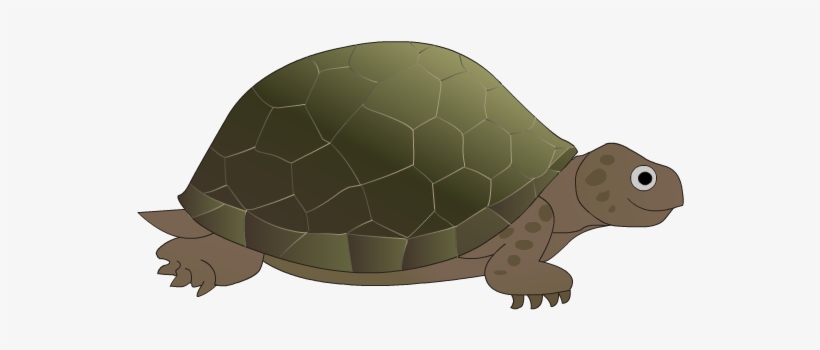 Inshare - Desert Tortoise, transparent png