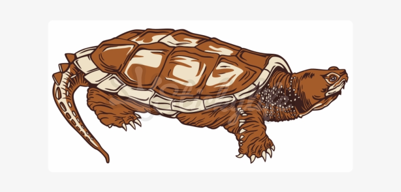 Common Snapping Turtle Static Cling - Nixon Team Trucker Hat Men's, transparent png
