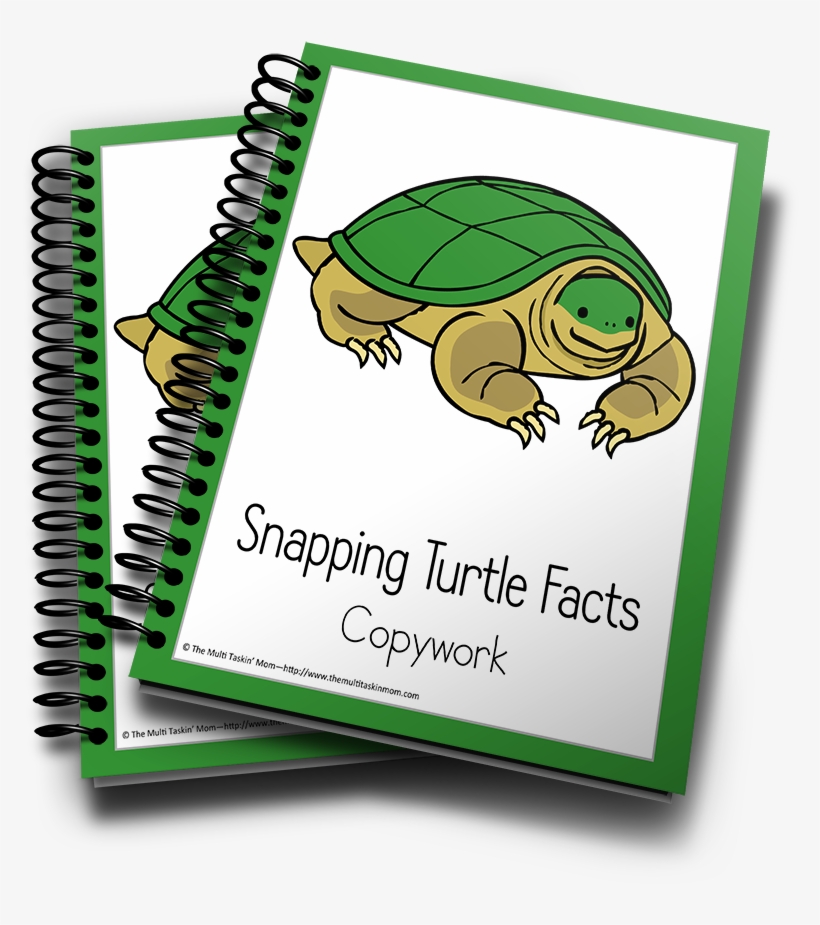 Snapping Turtle Color And Copywork - Common Snapping Turtle, transparent png