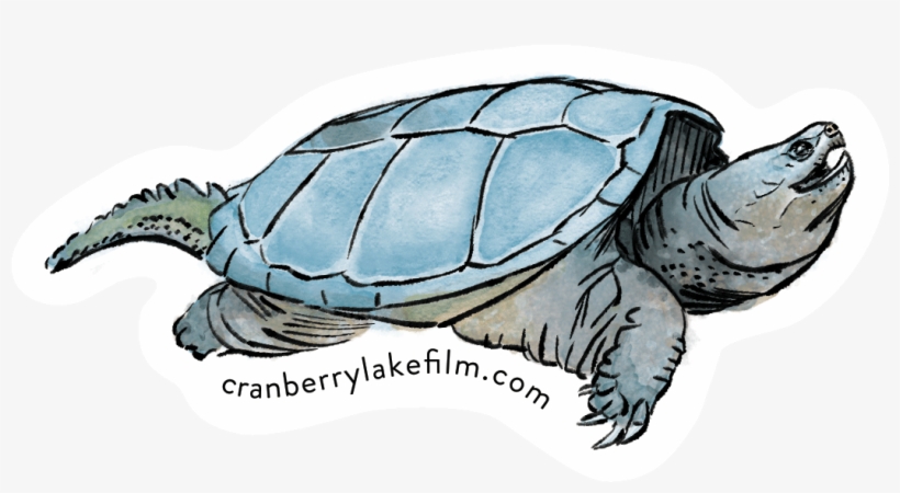 Cranberry Lake Stickers Designed By Zoya Baker Yellow - Cranberry Lake, New York, transparent png