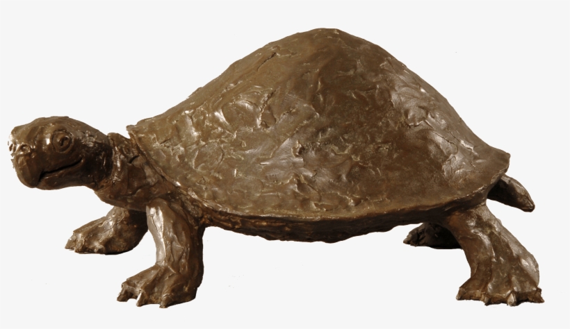 Myrtle, transparent png