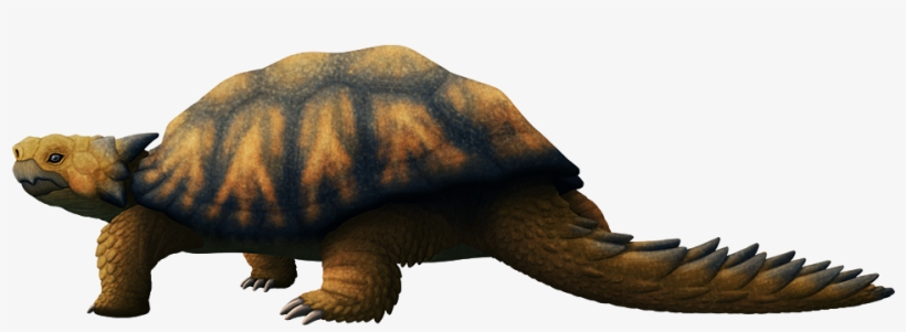 Almost-living Fossils Month - Meiolaniformes, transparent png
