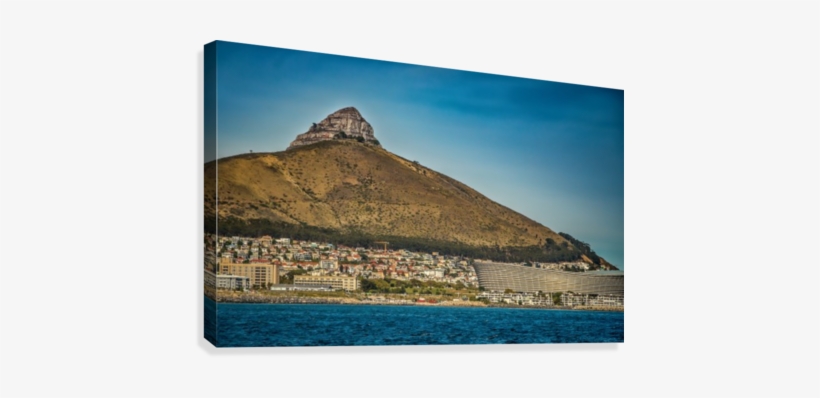 Lions Head Wih Stadium Canvas Print - Stadium, transparent png