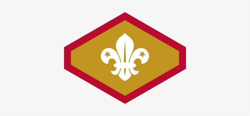 Published 1st July 2018 At 400 × 301 In - Chief Scout Bronze Award, transparent png