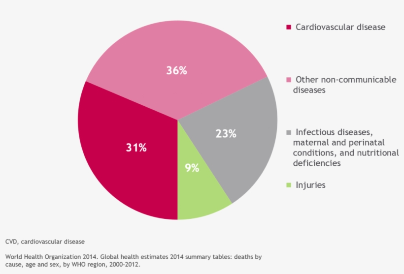 Cardiovascular Disease Is A Major Cause Of Death Worldwide - Tenecteplase, transparent png