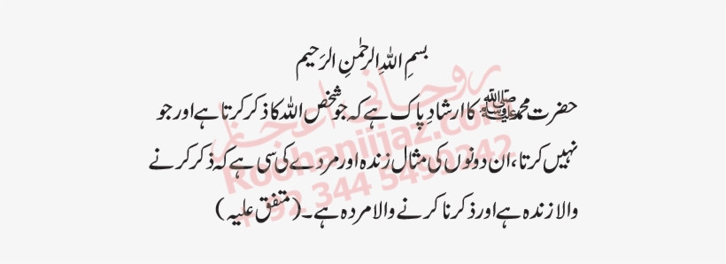 Urdu, transparent png