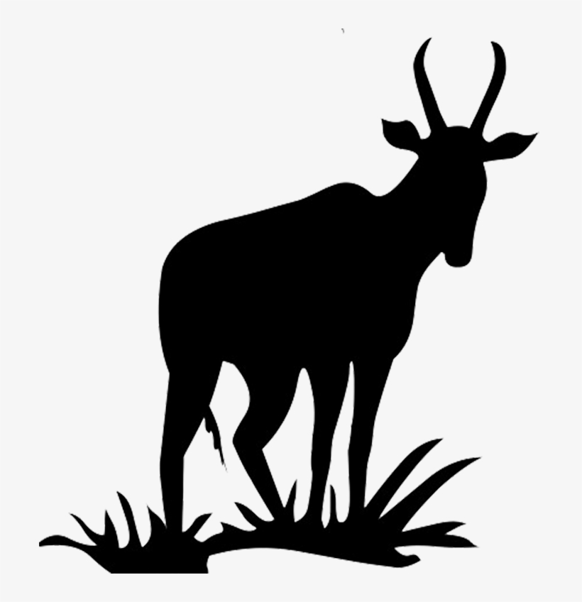 Kangaroo Silhouette Png, Antelope Silhouette Png - Antelope Clipart, transparent png