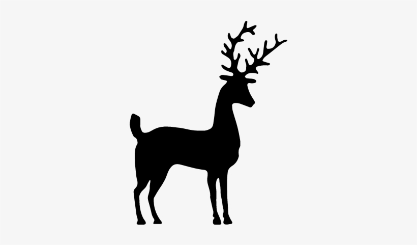 Deer Silhouette Vector - Silhouet Hert, transparent png