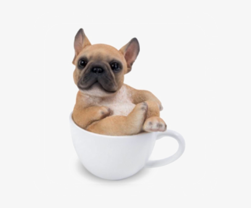 Bulldog Png Pic Dog In Teacup Png 600x600 Png Download Pngkit
