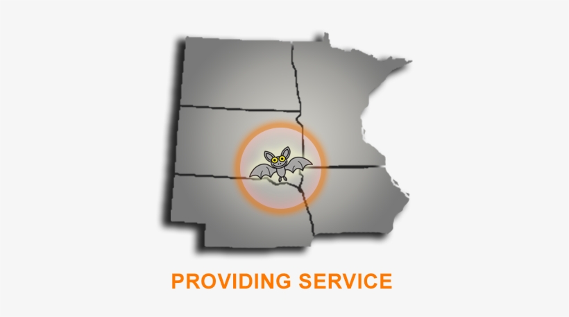Nobody Wants Bats In Their House - Nice Bats - Bat Removal Service, transparent png