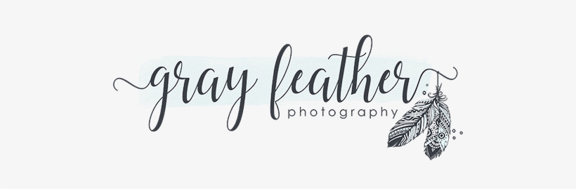 Gray Feather Photography - Logo, transparent png
