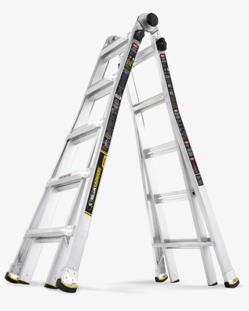 Our Latest - Gorilla Ladder, transparent png
