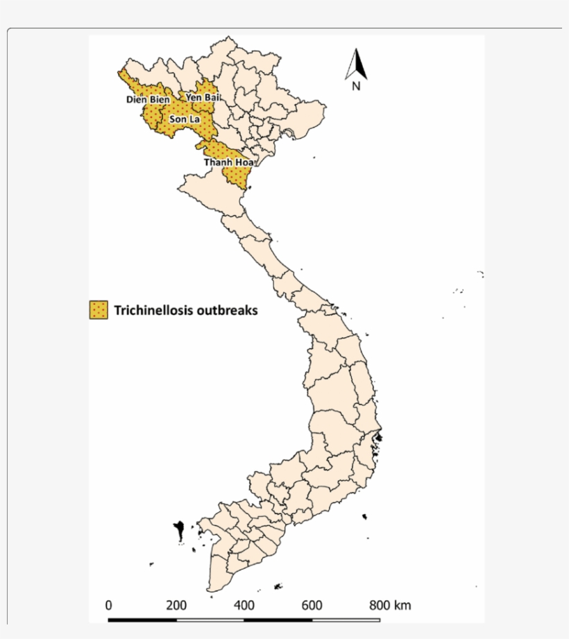 Map Of Trichinellosis Outbreaks In Vietnam - Map, transparent png