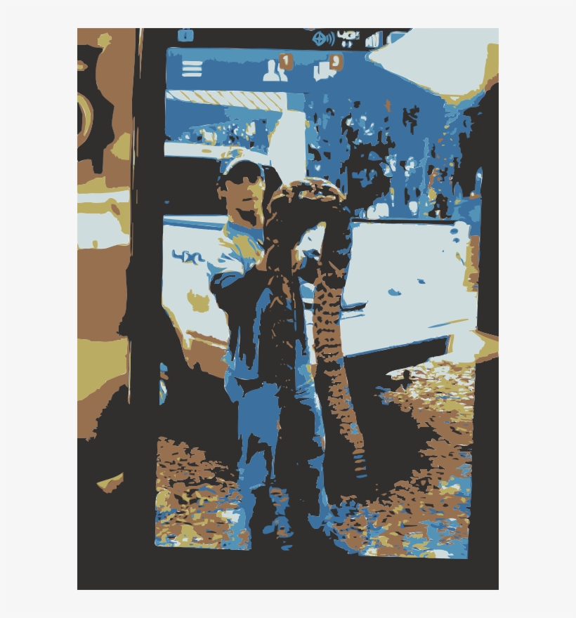 Snakes, transparent png