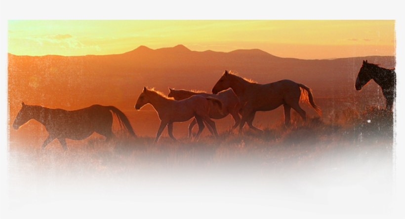 Moffat County, Colorado, transparent png
