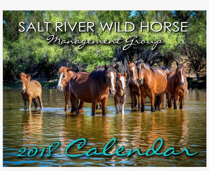 Salt River Wild Horse Management Group Calendar - Mustang Horse, transparent png