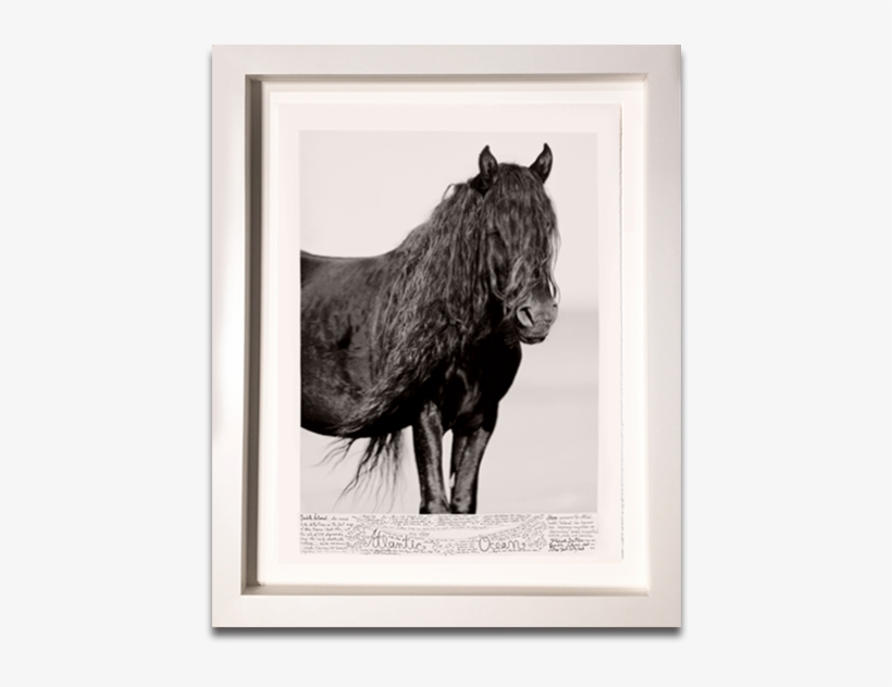 Right Carousel Arrow - Stallion, transparent png