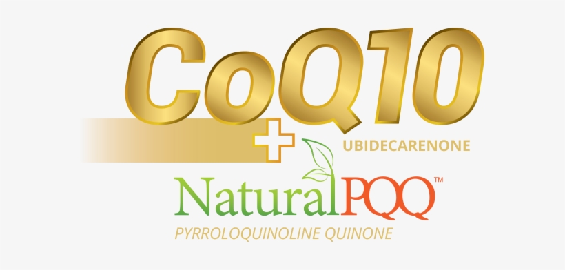 Our Difference - Sotheby's International Realty, transparent png