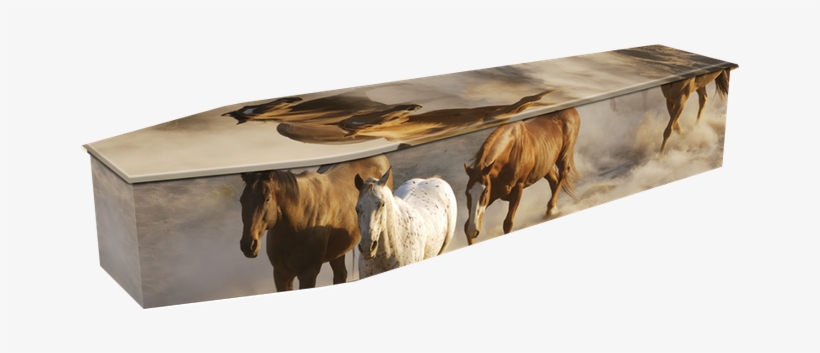 Expression Wild Horses - Swanborough Funerals, transparent png