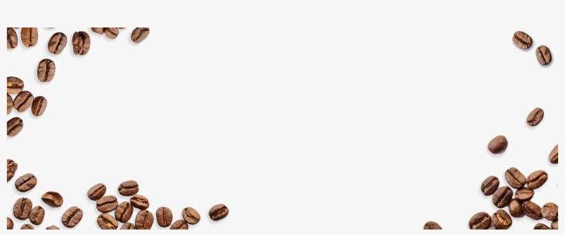 Scattered Coffee Beans On White Background - Coffee Beans White Background, transparent png