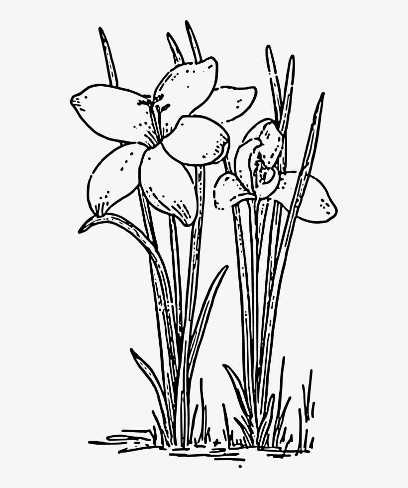 How To Set Use Crocus 3 Icon Png - Flower Tree Black And White, transparent png