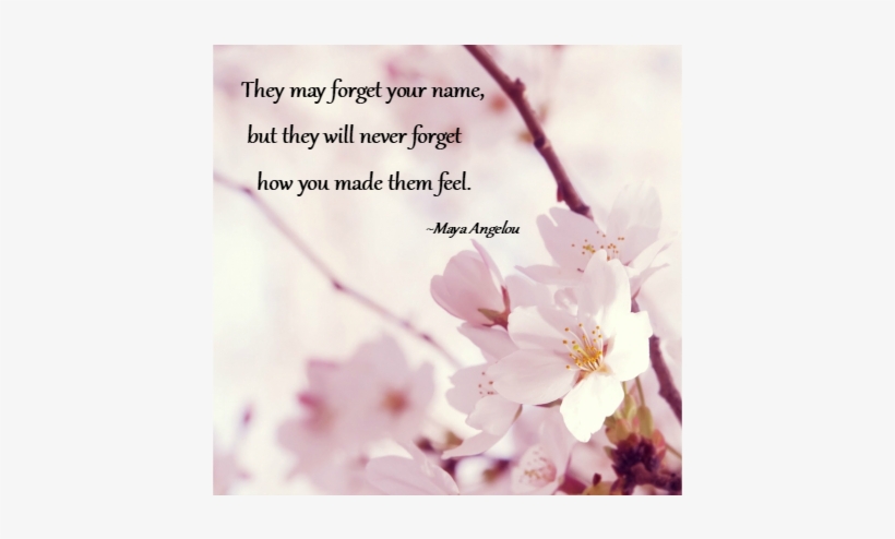 Hello, Dear Friends - Sakura Flower Background Hd, transparent png