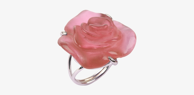 Rose Passion Pink Ring, transparent png