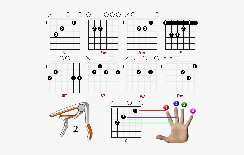 Cant Help Falling In Love With You Akordi - Chord, transparent png