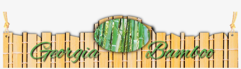 Georgia Bamboo, transparent png
