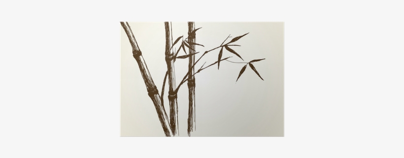 Drawing Of Bamboo, transparent png