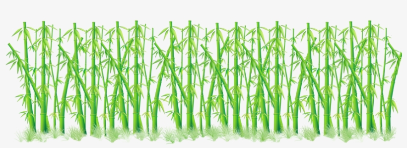 Bamboo Vector, transparent png