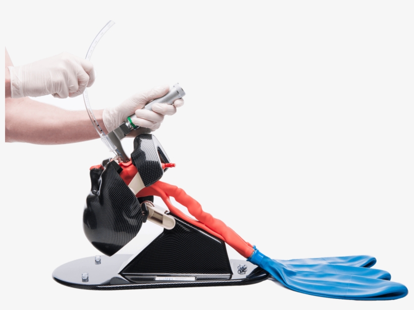 Intubation Manikins For Sale Online - Airway Management, transparent png
