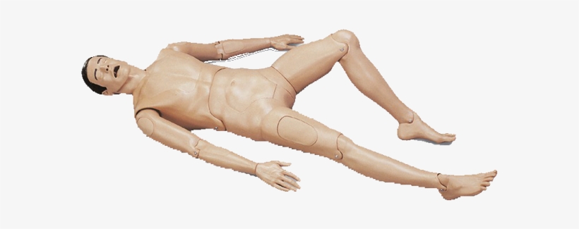 Laerdal - Laerdal Crash Kelly Manikin, transparent png