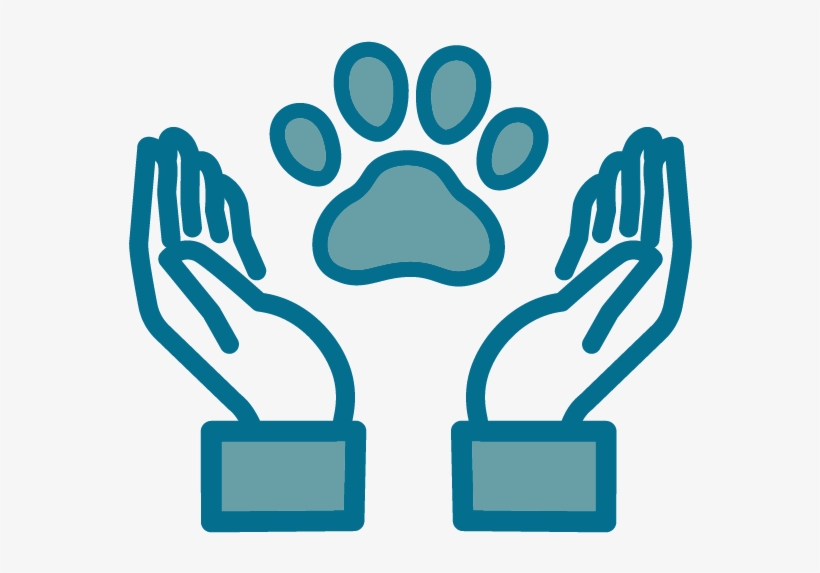 Quality Veterinary Medicine, transparent png