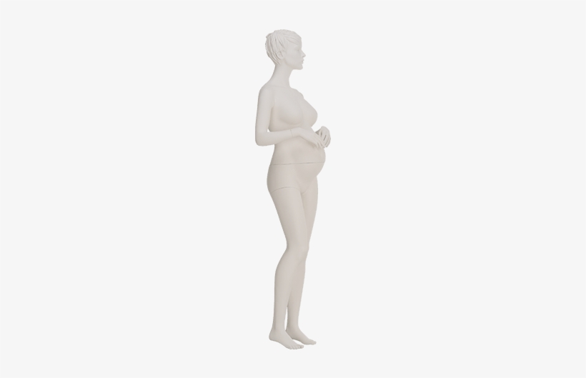 Mtf-01g - Standing, transparent png