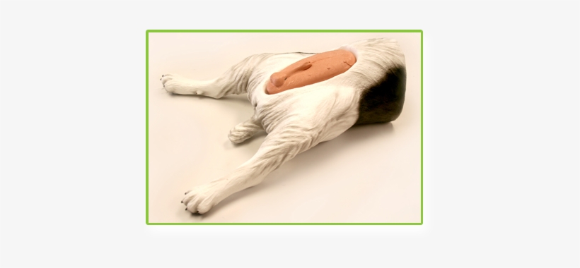 28 Collection Of Virtual Mannequin For Drawing - Draw A Male Mannequin, transparent png