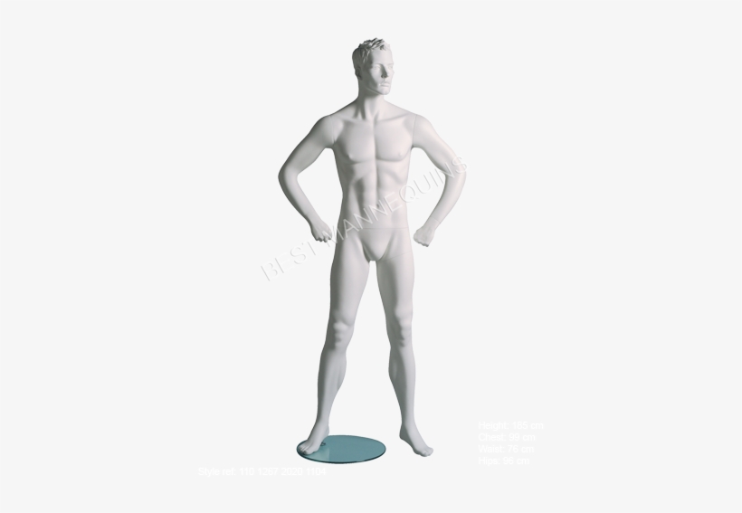 Pdf Catalogue - Sports Male Mannequin, transparent png