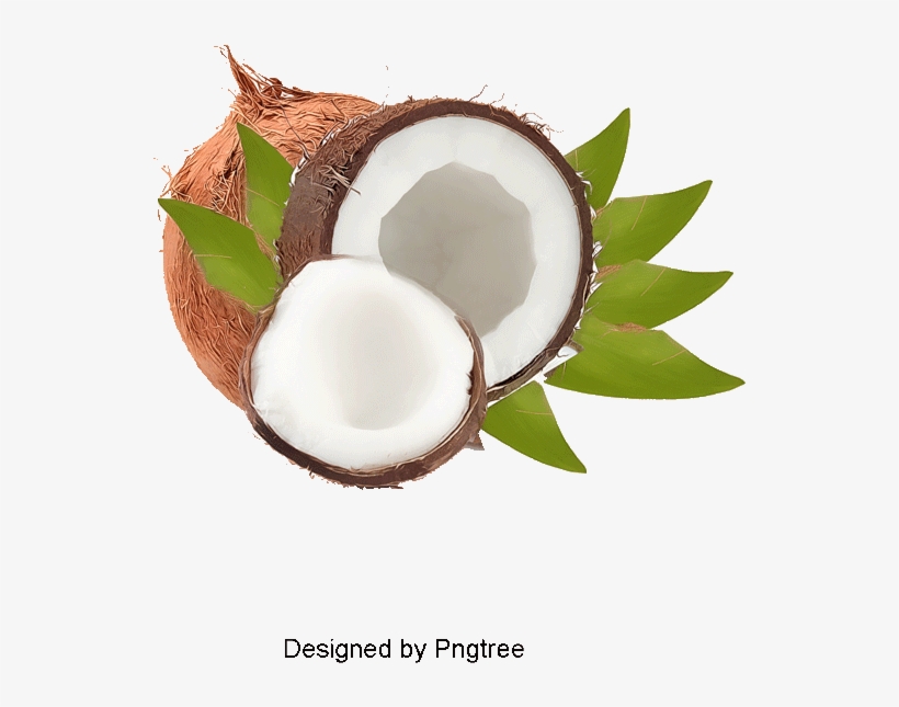 Authentic Coconut, Coconut Clipart, Brown, Cream Png - Lychee, transparent png