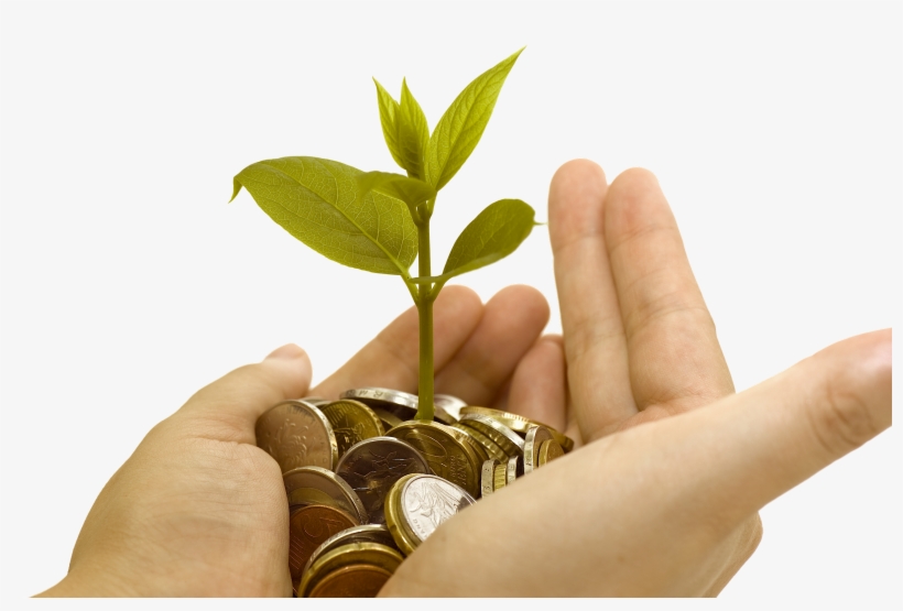 Toggle Navigation - Grow Coin, transparent png