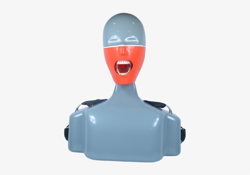 Navadha Itorso Dental Chair Mount Manikin Phantomhead, - Simuladores De Odontologia, transparent png